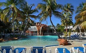 Coconut Cove Resort & Marina Islamorada Fl